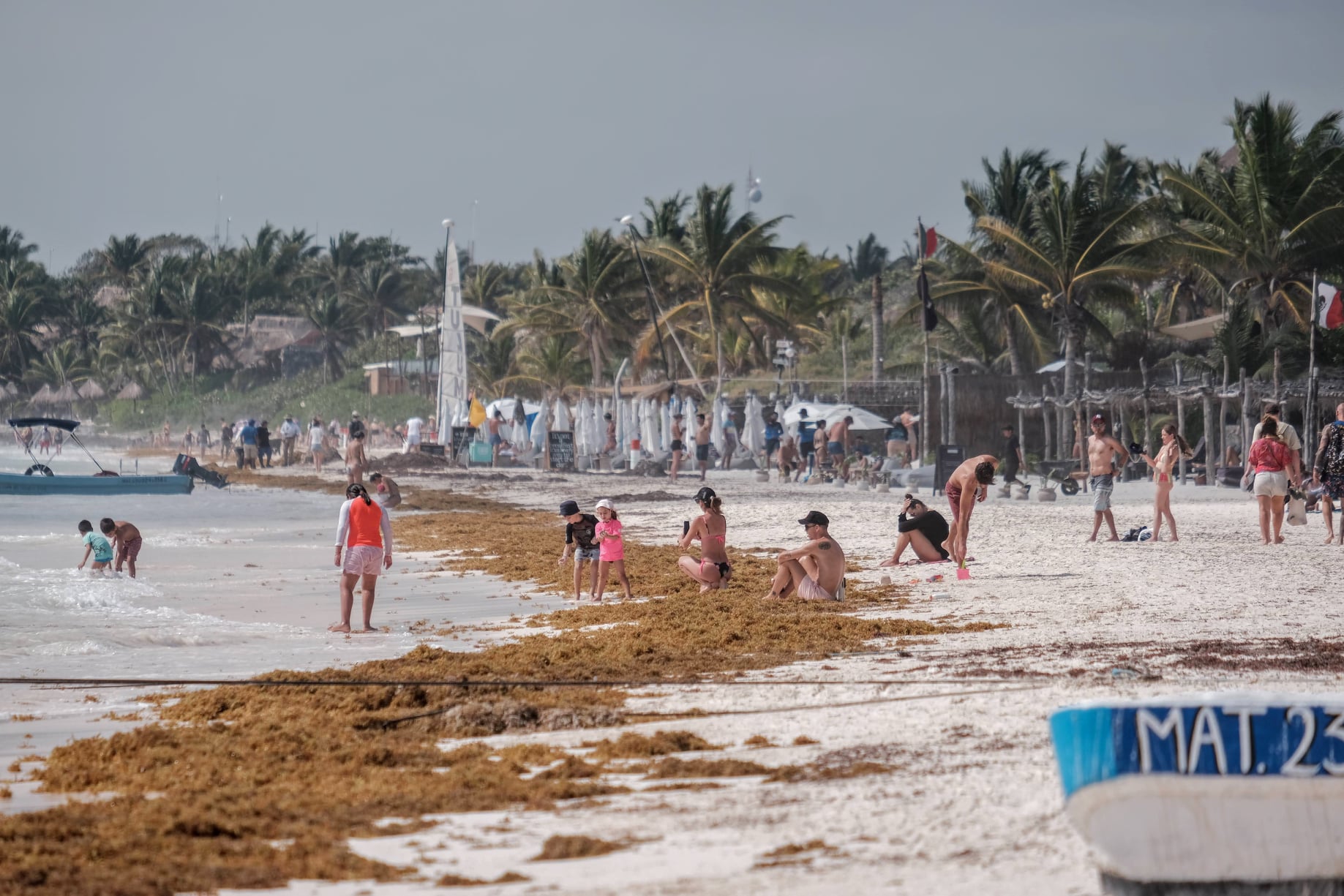 Sargazo comienza a invadir las playas de Quintana Roo
