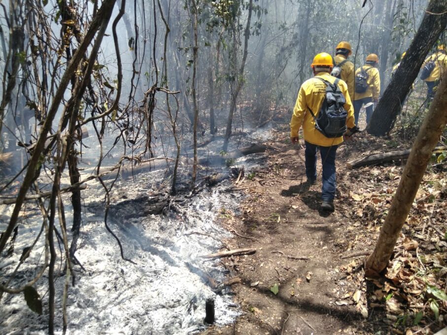 Conafor reporta 81 incendios forestales activos en México