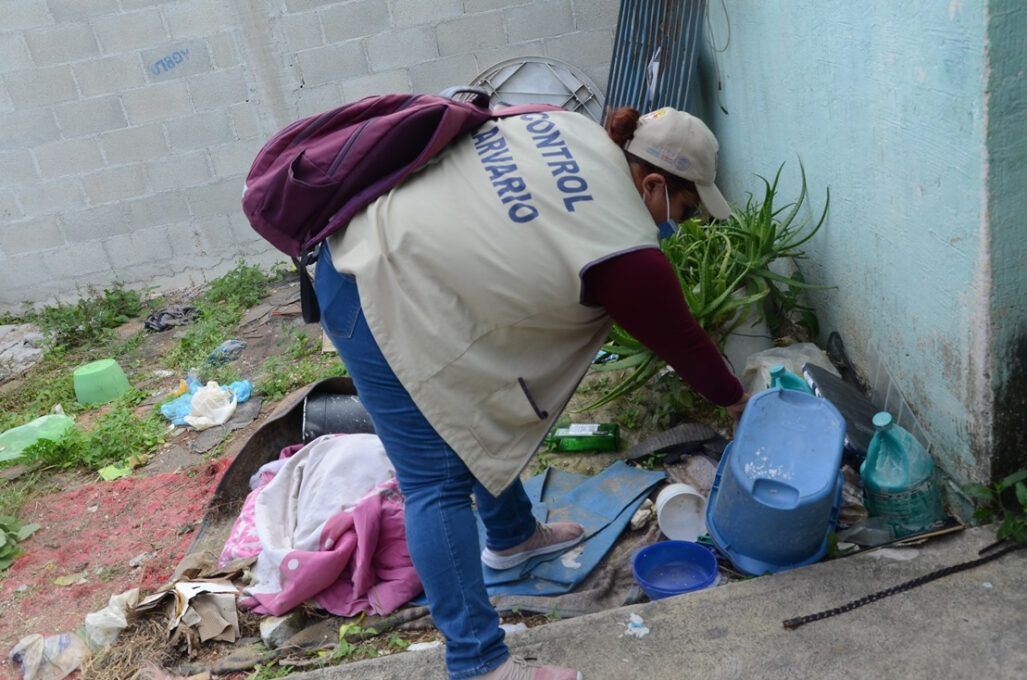 SESA fomenta el saneamiento básico de las viviendas para evitar el dengue, zika y chikungunya