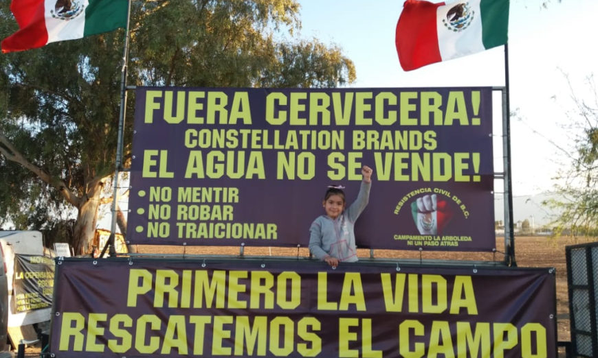 Cervecera Constellation Brands obtiene 14 concesiones de agua para planta en Veracruz