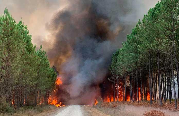 Incendio forestal en Francia provoca la evacuación de ocho mil personas