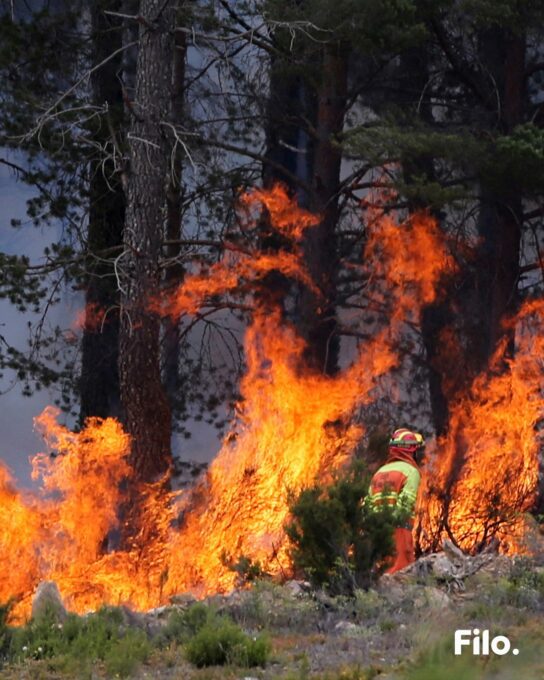 Incendios forestales en España consumen más de 16 mil hectáreas en los últimos días