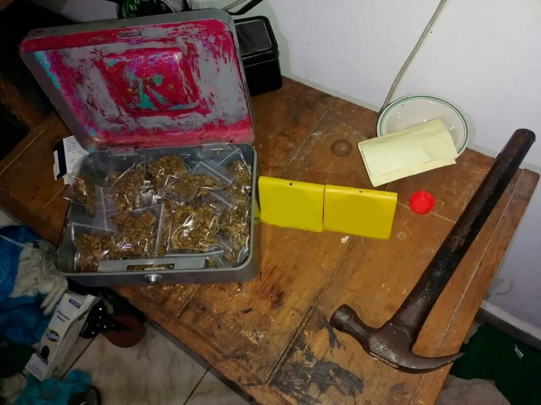 Aseguran diversas drogas durante cuatro cateos en Cozumel