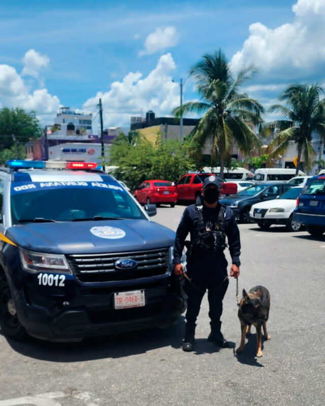 Policías de la SSC recorren supermercados y sucursales bancarias de Playa del Carmen