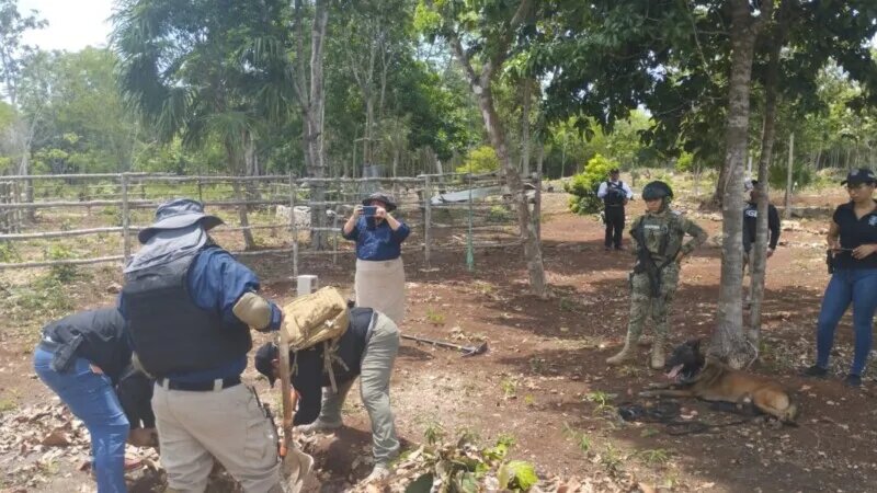 Realiza la Fiscalía de Quintana Roo operativos de búsqueda en Benito Juárez, Isla Mujeres y Chetumal