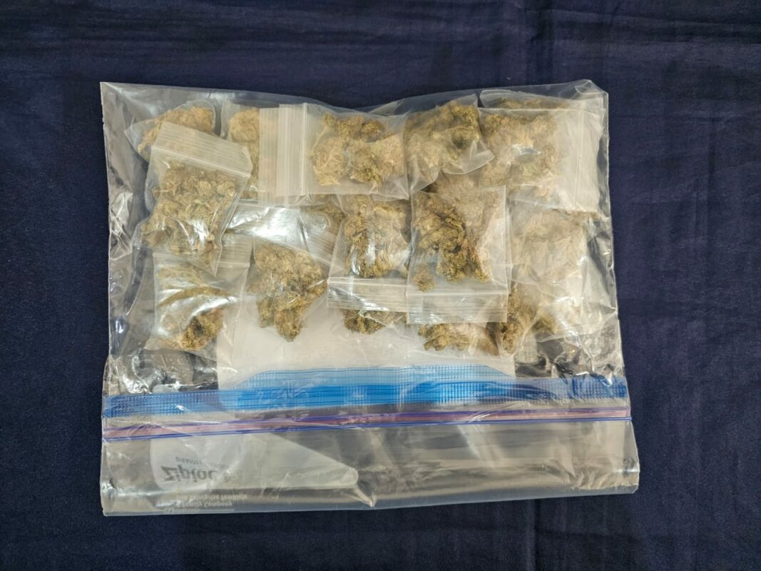 Sujeto es detenido en Tulum con 23 dosis de mariguana