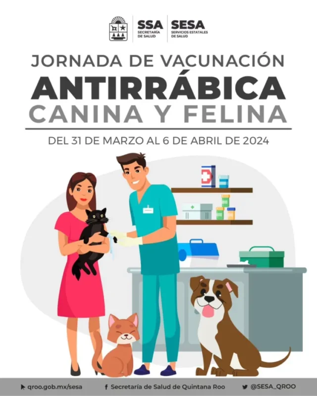 Tras muerte por rabia en Cancún; anuncia jornada de vacunación